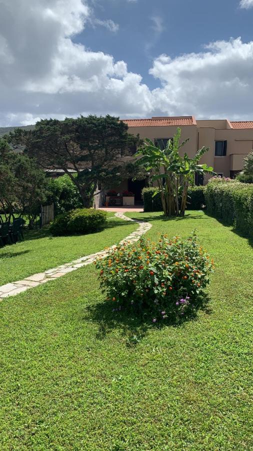 Pelosa - Capo Falcone Excellent Apartment Stintino Exteriér fotografie