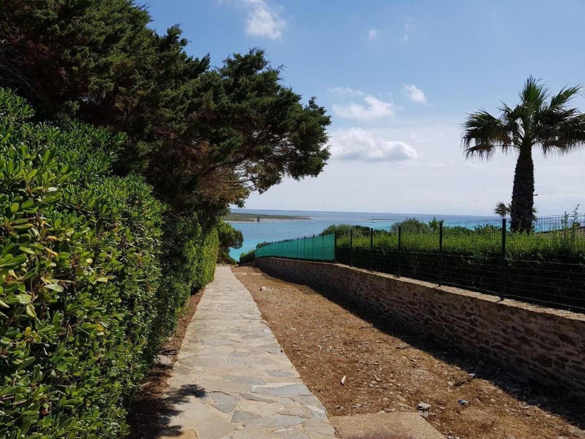 Pelosa - Capo Falcone Excellent Apartment Stintino Exteriér fotografie